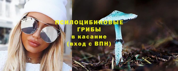 прущий лед Лагань