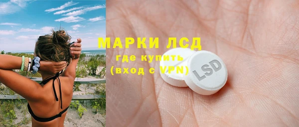 PSILOCYBIN Липки