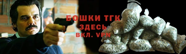 PSILOCYBIN Липки