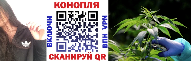 Купить закладки  Верхоянск  Конопля AK-47 